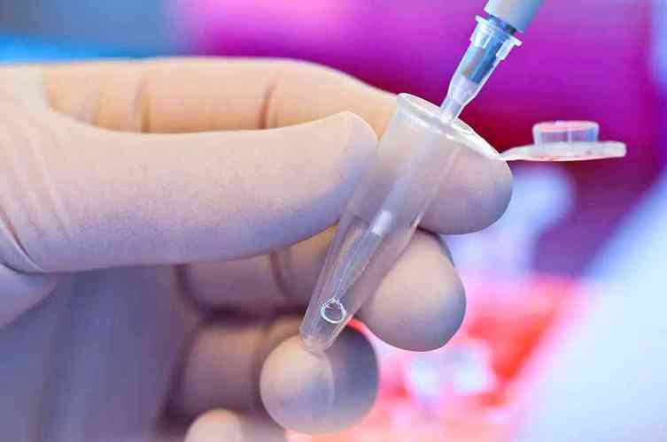 供卵试管代怀过程(供卵试管代怀：新生命的奇迹之旅)