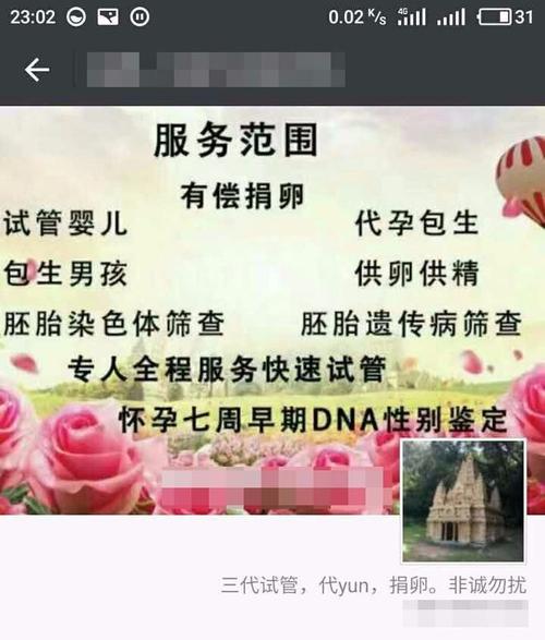 供卵试管代怀包性别-以性别为中心的供卵试管代怀包:选择你想要的宝宝性别