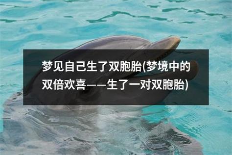 代生了双胞胎公司-代生了双胞胎公司:双倍的爱与希望