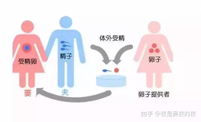 供卵生子是自己的孩子吗【供卵生子后,孩子是自己的吗?】