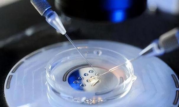 供卵试管代怀男孩过程【男孩供卵试管代怀全过程解析”】