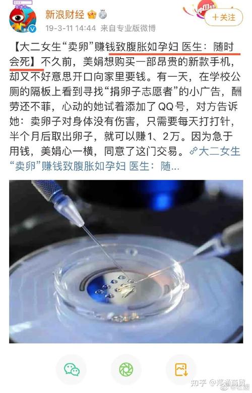 供卵多少钱？(供卵多少钱？这是个让人犹豫的问题)