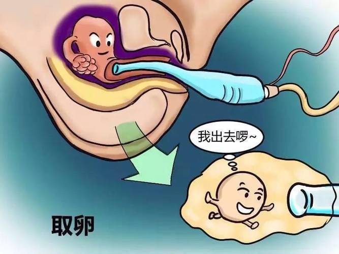 供卵试管代怀哪家好_供卵试管代怀哪家好,选择哪家更合适?