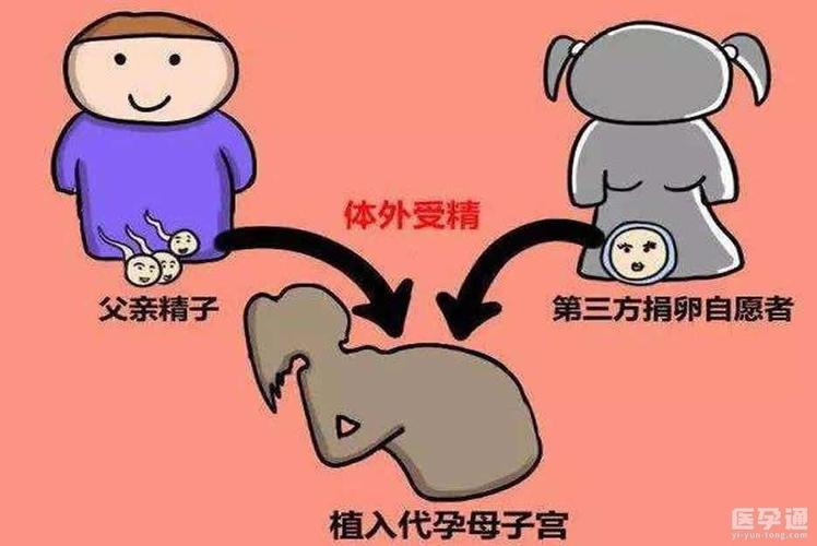 供卵对女性有什么伤害_供卵对女性有什么伤害?